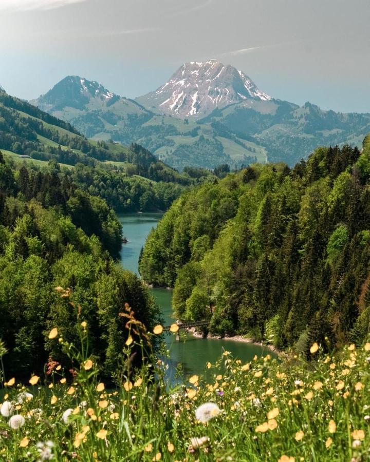 Chalet Apartment Serenity Lodge Шарме Экстерьер фото