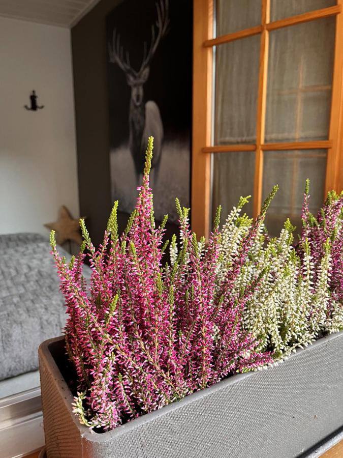 Chalet Apartment Serenity Lodge Шарме Экстерьер фото